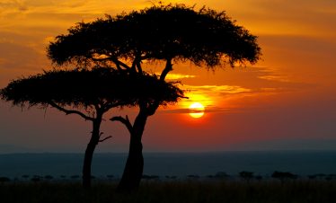 3 Days Masai Mara –  From Nairobi